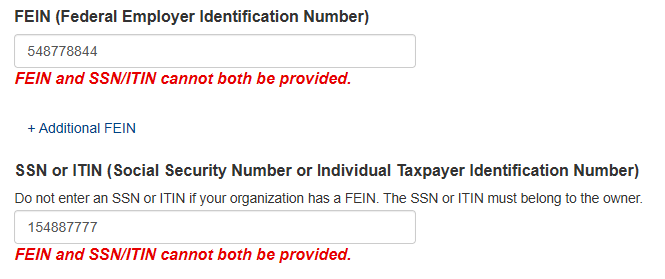 This is a screenshot of the organization Self-Query form for the SSN and FEIN section.